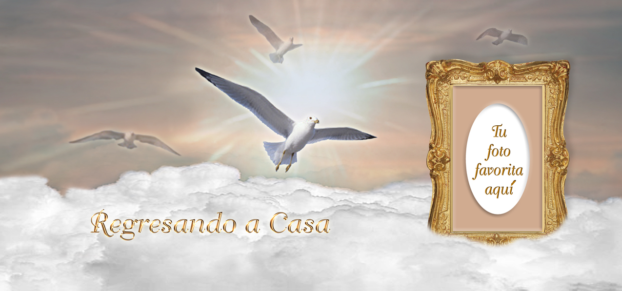 Regresando a Casa Birds Bronze